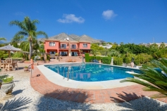 245520.jpg