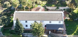 246553.jpg