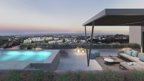 255390.jpg