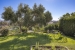 BCEABP606_22995_V0_F25F.jpg