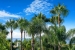AVXADP2218_104767_V0_7552.jpg