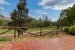 5-3595ad71cbd87be6c3643a4285ef4791.jpg
