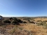 7-aa4cc561180b369757c0bb4af9886cd3.jpg