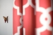 31-5e8b9eb86a2d455eeaf43a7bbf3ccd12.jpg